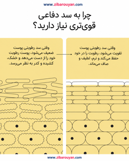 لوسیون مرطوب کننده و آبرسان دراماتیکالی کلینیک